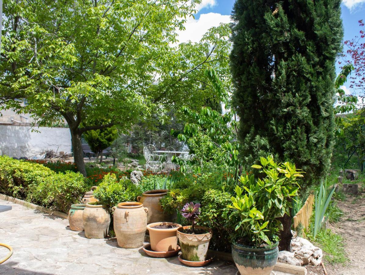 Alojamiento Rural El Gomis Confrides Ngoại thất bức ảnh